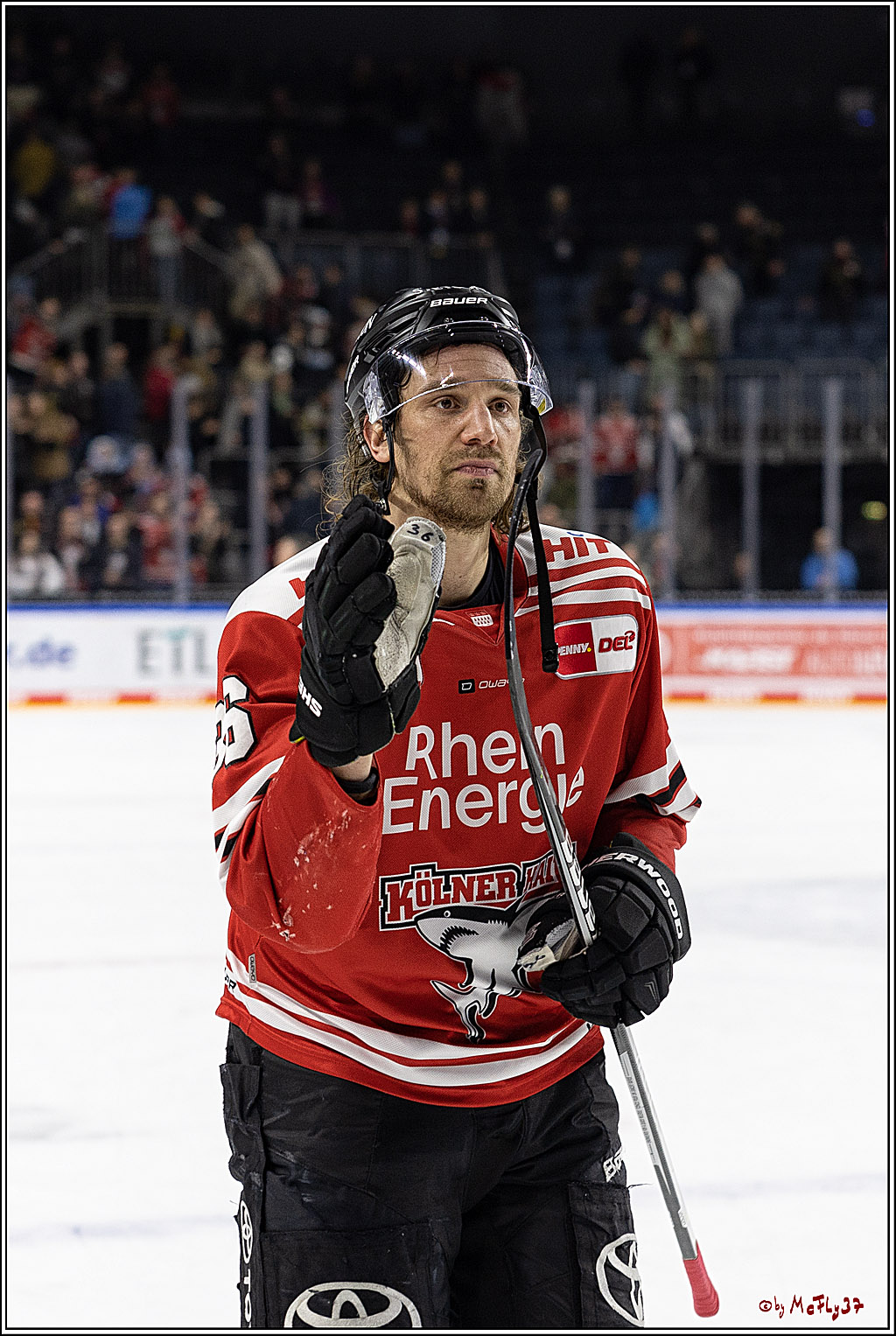 PENNY DEL;  Koelner Haie - Schwenninger Wild Wings; Koeln, 18.01.2023